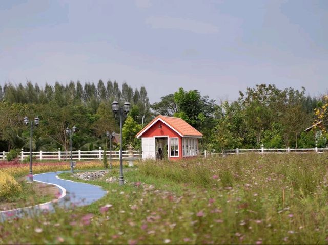 สวนดอกไม้ บ้านไร่นายรุ่ง กาญจนบุรี