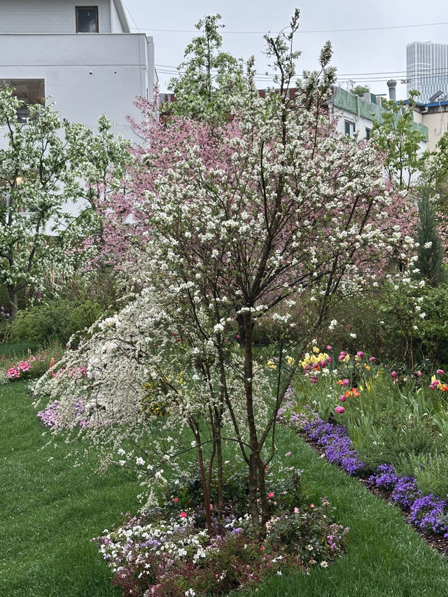 아름다운 꽃들을 구경하기 좋은 💐 젊고 힙한 성수동 여행코스 추천💖