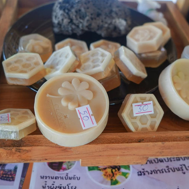 แพลนเที่ยวกาะกลาง จ. กระบี่  2 วัน 1 คืน