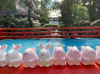 【京都】うさぎ神社🐰⛩️