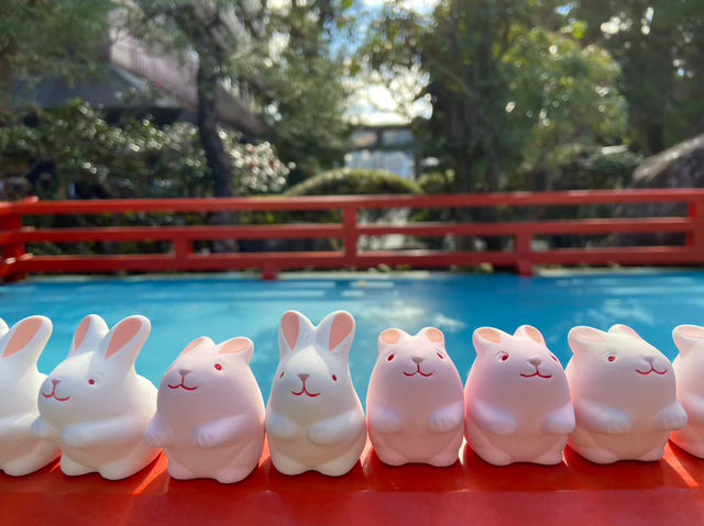 【京都】うさぎ神社🐰⛩️