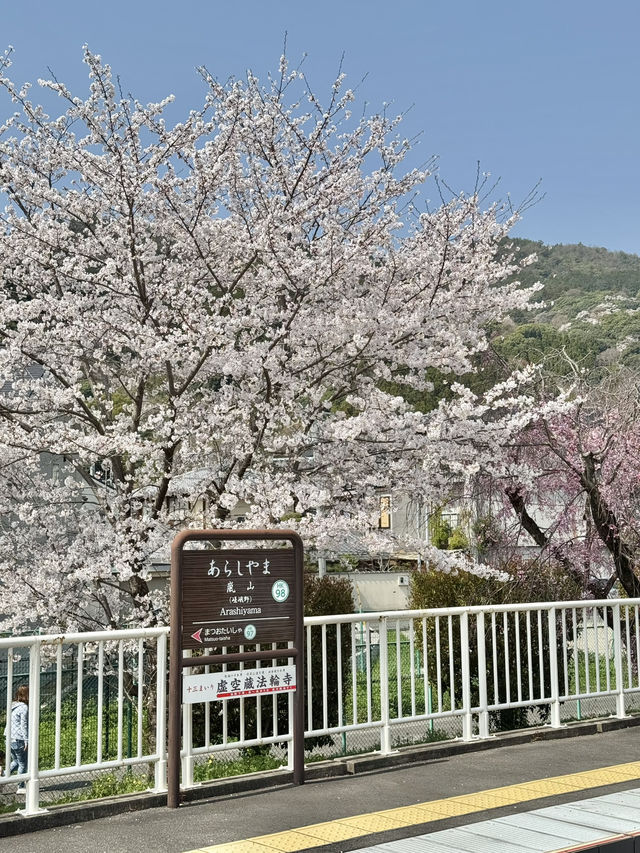 พิกัดมุมถ่ายรูปสะพาน Togetsukyō แบบปังๆ 🌸