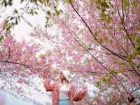 สวนลุงเปา ขุนวาง เชียงใหม่