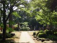 東京🇯🇵日本最萌貓咪神社⛩️豪德寺🐱