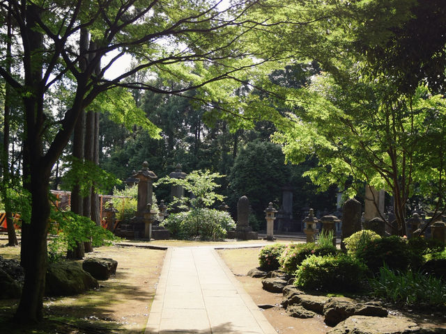 東京🇯🇵日本最萌貓咪神社⛩️豪德寺🐱