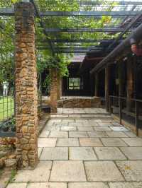 A Serene Forest Café with Pasta That Hits the Spot