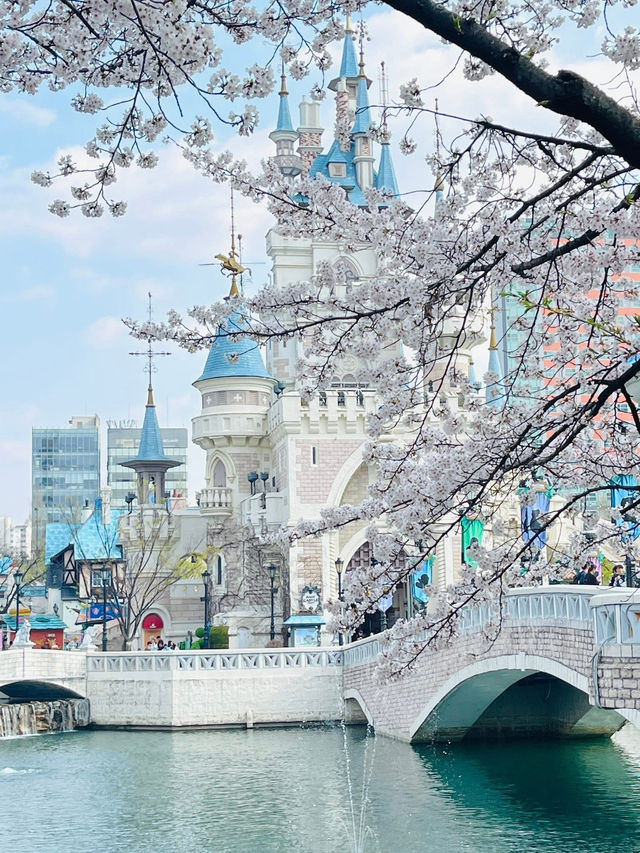 Cherry Blossoms at Seokchon Lake: A Fairytale Scene with Lotte World's Magic Castle