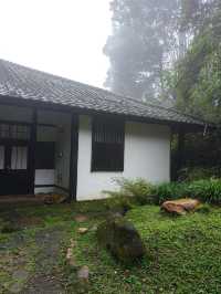 Hidden Gem in Genting – A Stroll Through the Japanese Village