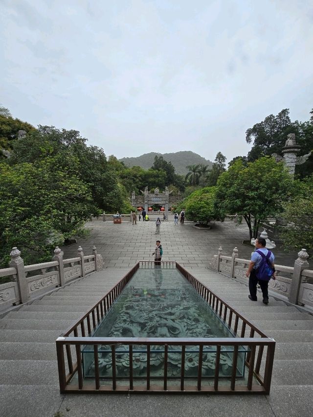 🌿 肇慶鼎湖山：綠色逃亡秘境！🌄