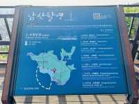 Namsan Vibes: Hike, Snap, Explore!