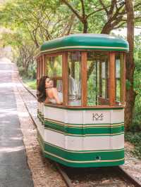 ชวนไปขึ้นรถไฟสายคลาสสิกที่เขาใหญ่