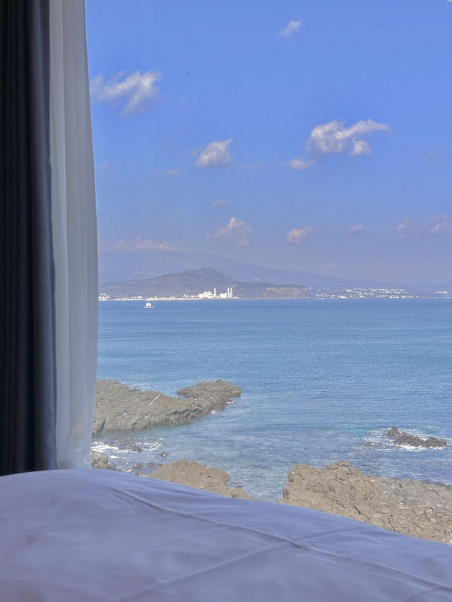 봄맞이 제주 2박3일 혼여행코스 🌼💛