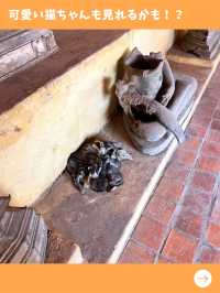 【ラオス女子旅】ビエンチャン最古のお寺！ワットシーサケットが圧巻！