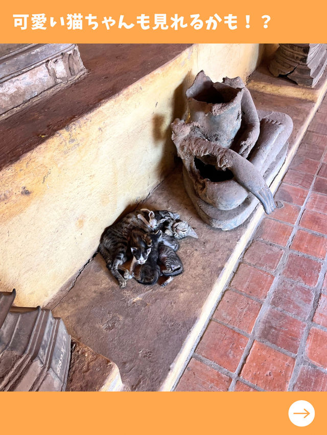【ラオス女子旅】ビエンチャン最古のお寺！ワットシーサケットが圧巻！
