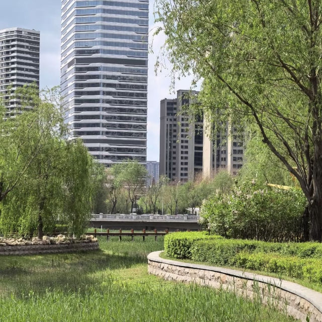 鶴洞公園•城市綠色秘境
