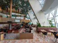 🚢 Sailing on Celebrity Edge: Rooftop Gardens, Magic Carpets & Infinite Gelato! 🍦  