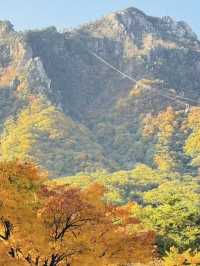 Seoul for fall colors