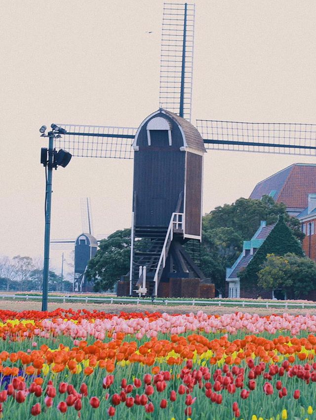 Huis ten bosch- Nagasaki