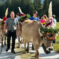A Celebration of Alpine Tradition: My Day at the Alpabfahrt in Switzerland