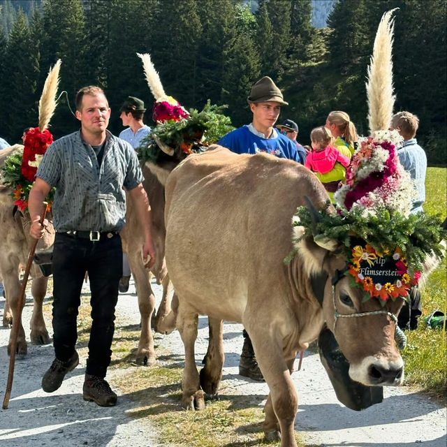 A Celebration of Alpine Tradition: My Day at the Alpabfahrt in Switzerland