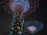 Gardens by the Bay: A Futuristic Oasis in the Heart of Singapore