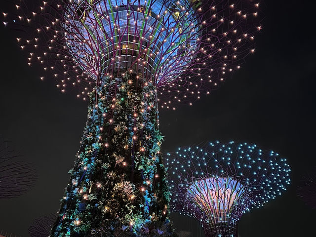 Gardens by the Bay: A Futuristic Oasis in the Heart of Singapore