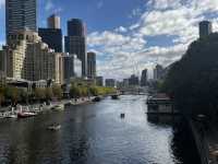 Explore one of the world’s top ranked libraries in Melbourne 