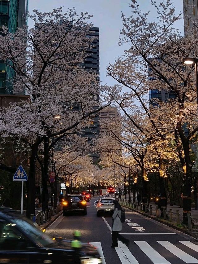 City Lights, Cool Vibes, and Petals on the Side
