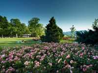 The Rose Garden (Rosengarten): The jewel of Switzerland!
