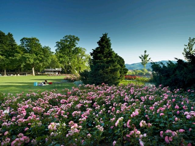 The Rose Garden (Rosengarten): The jewel of Switzerland!