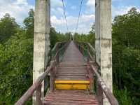 เที่ยวป่าชายเลน อุทยานแห่งชาติหมู่เกาะชุมพร 