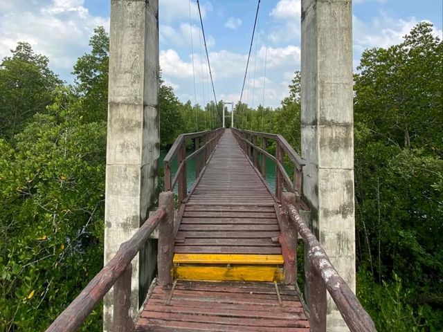 เที่ยวป่าชายเลน อุทยานแห่งชาติหมู่เกาะชุมพร 
