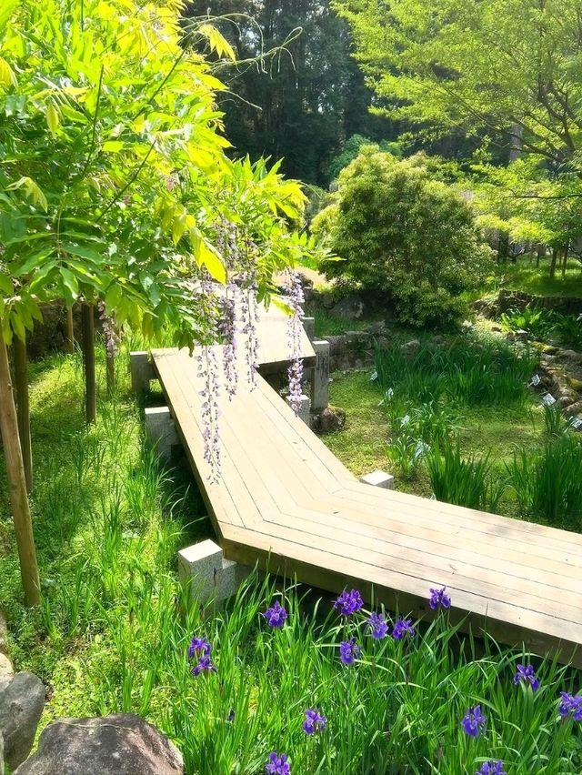 Peaceful, Pretty, and Super Relaxing
