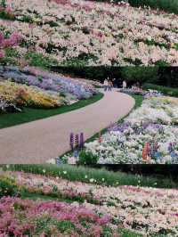 Yokohama’s Sankeien Garden: Like a Monet Palette Spilled Everywhere