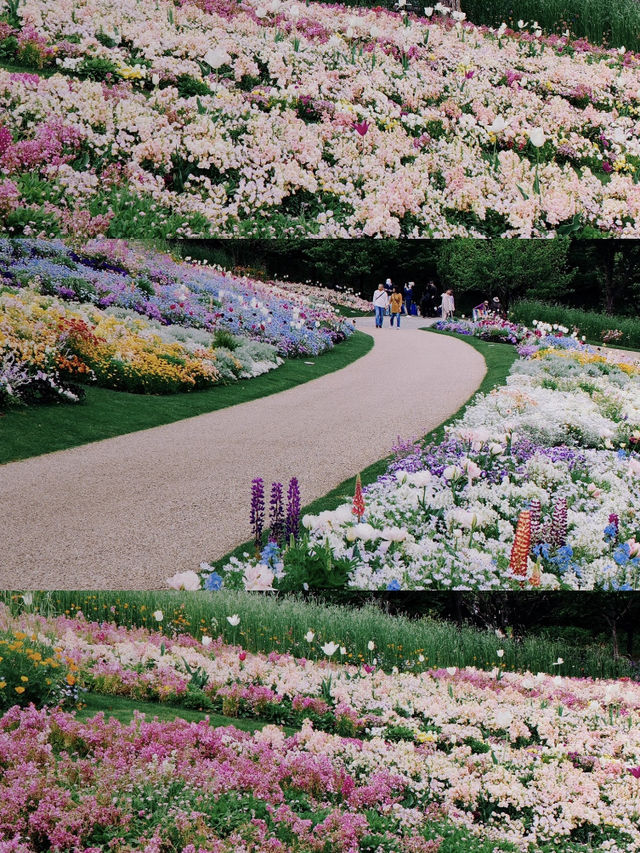 Yokohama’s Sankeien Garden: Like a Monet Palette Spilled Everywhere