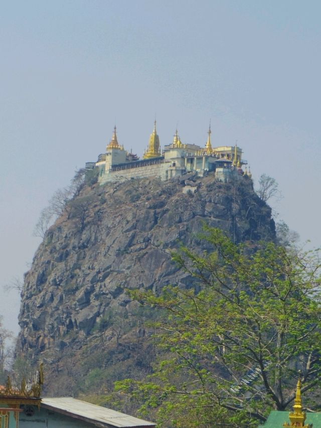 【ミャンマー🇲🇲】信仰の地・ポッパ山