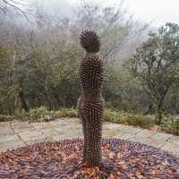 "Rokko Meets Art" งานศิลปะท่ามกลางธรรมชาติ🌿