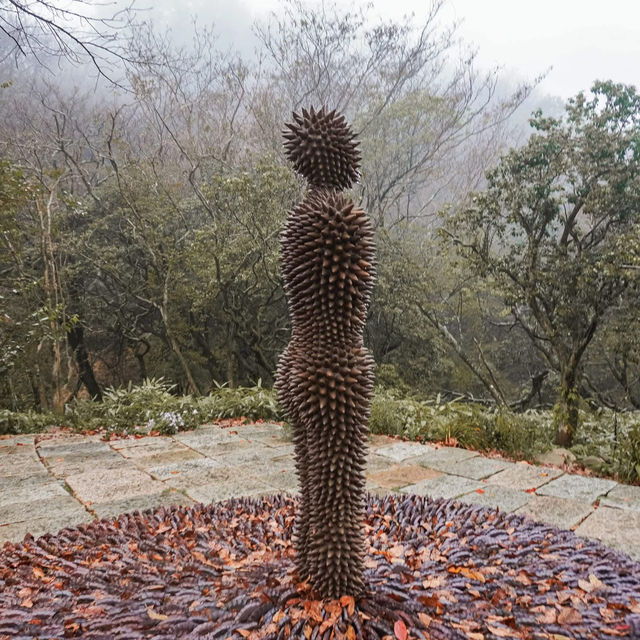 "Rokko Meets Art" งานศิลปะท่ามกลางธรรมชาติ🌿
