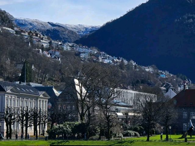 Bergen's Coastal Charm – Norway’s Colorful Gateway to the Fjords