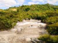 #波胡圖間歇噴泉Pohutu Geyser -紐西蘭羅託魯瓦