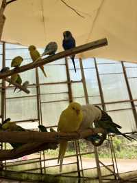 アルパカワールド！動物と触れ合える！