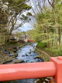 A Local Stroll Through Shuzenji – Temples, Blossoms & Comfort Food