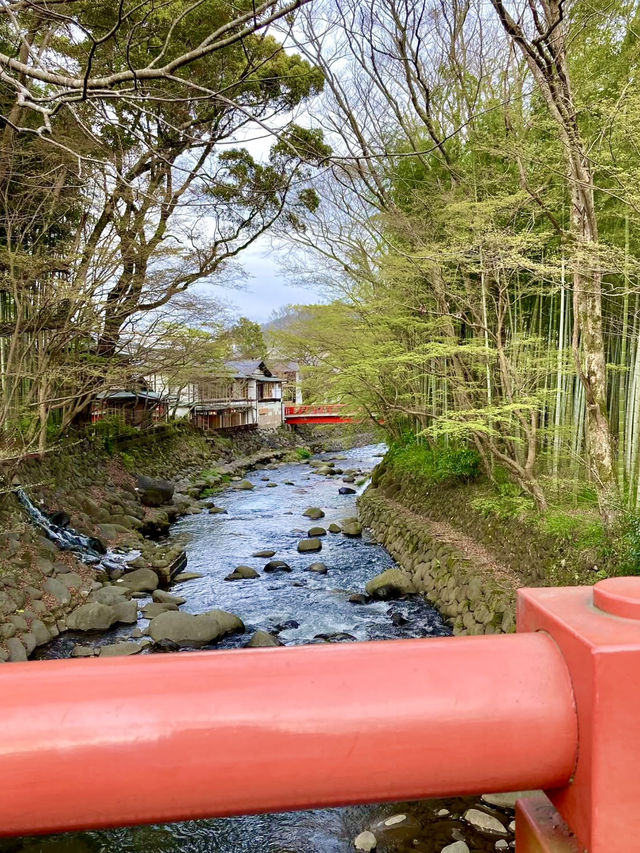 A Local Stroll Through Shuzenji – Temples, Blossoms & Comfort Food