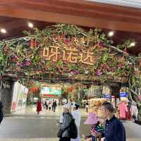 Immersed in Nature: Exploring Yanoda Rainforest in Hainan 