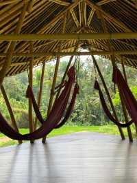 🌾 Luxury in the Lush Heart of Ubud – Four Seasons Resort Bali at Sayan