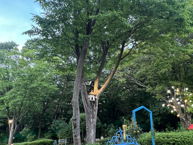 강마을 다람쥐 도토리 먹으러 가요
