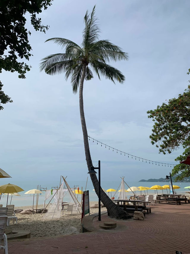 💕The Hotel to Book in Chaweng, Koh Samui💕