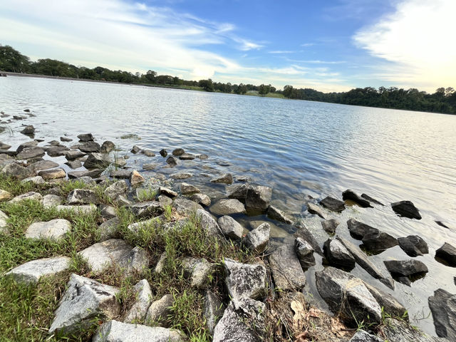Lower Peirce Reservoir – Brisk Walks & Monkey Business