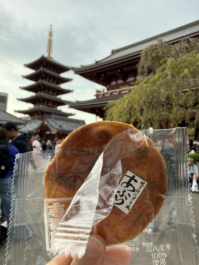 【🇯🇵】春の浅草散歩🎶