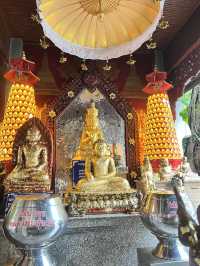 สายมูเชียงใหม่ ห้ามพลาด ✨